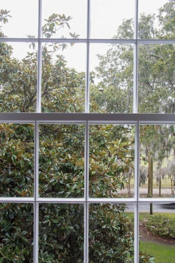 Newly Renovated 4 Bed 3 Bath And 2 Parking Spots Villa Savannah Bagian luar foto